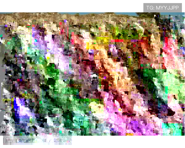 博格巴时隔811天回归赛场